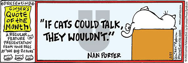 The Big Picture on Saturday April 12, 2025 Comic Strip