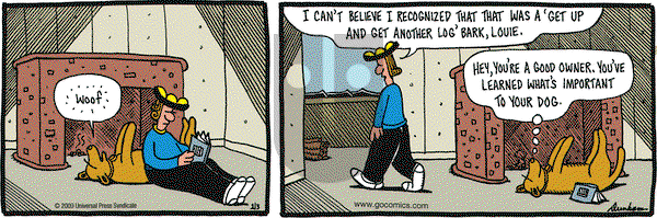 Overboard on Saturday January 3, 2009 Comic Strip