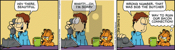 Garfield - Friday February 8, 2013 Comic Strip