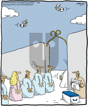 In the Bleachers - Thursday December 5, 2024 Comic Strip