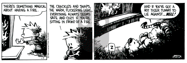Calvin and Hobbes on Saturday January 7, 1989 Comic Strip