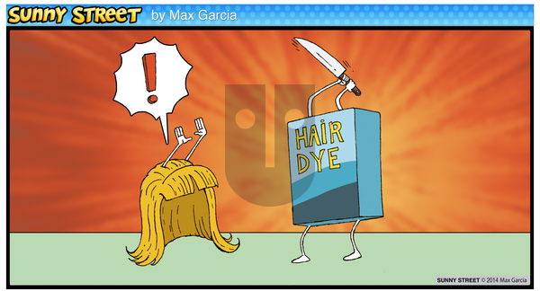 Sunny Street on Friday January 3, 2014 Comic Strip