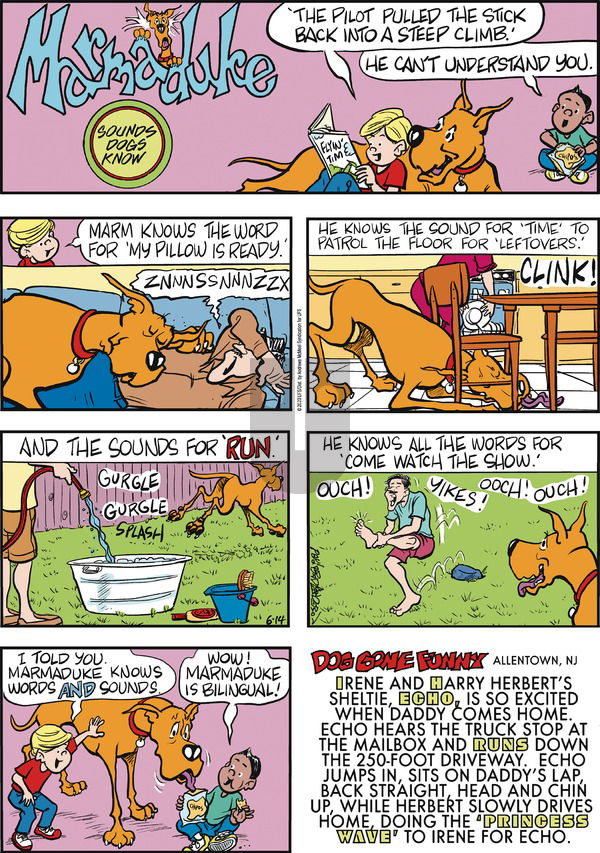 Marmaduke on Sunday June 14, 2020 Comic Strip