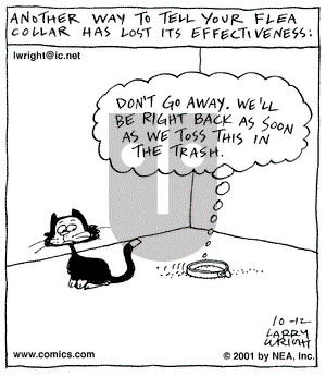 Kit 'N' Carlyle on Friday October 12, 2001 Comic Strip