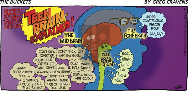 The Buckets on Sunday November 2, 2014 Comic Strip