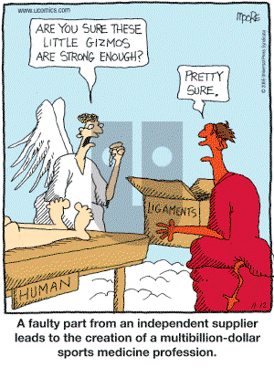 In the Bleachers - Saturday November 12, 2005 Comic Strip