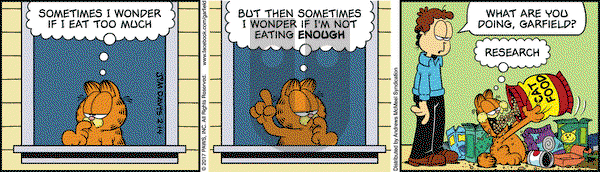 Garfield on Tuesday February 14, 2017 Comic Strip