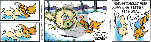 Rose is Rose on Wednesday January 29, 2020 Comic Strip