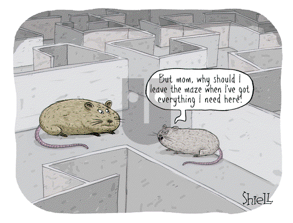 The Wandering Melon on Tuesday April 15, 2025 Comic Strip