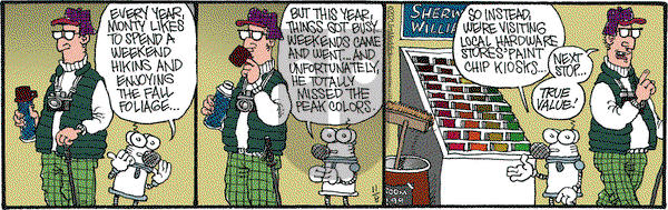 Monty - Monday November 8, 2021 Comic Strip