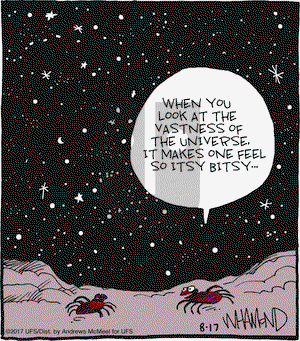 Reality Check on Thursday August 17, 2017 Comic Strip