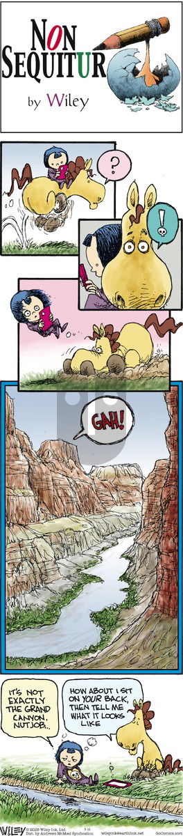 Non Sequitur on Sunday May 11, 2025 Comic Strip