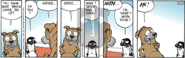 Get Fuzzy on Tuesday December 17, 2013 Comic Strip