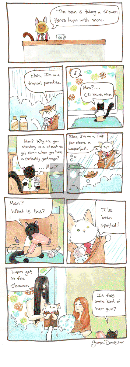 Breaking Cat News on Thursday March 5, 2015 Comic Strip