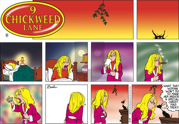 9 Chickweed Lane on Sunday December 18, 2016 Comic Strip