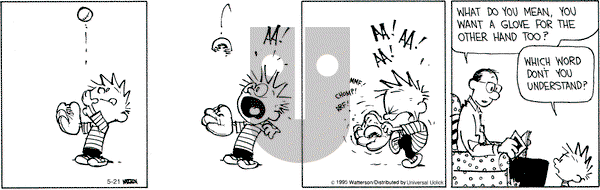 Calvin and Hobbes on Thursday May 21, 2015 Comic Strip