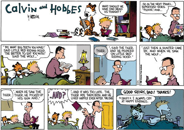Calvin and Hobbes on Sunday May 12, 1991 Comic Strip