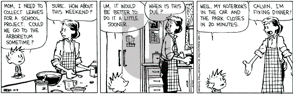 Calvin and Hobbes - Monday October 9, 1995 Comic Strip