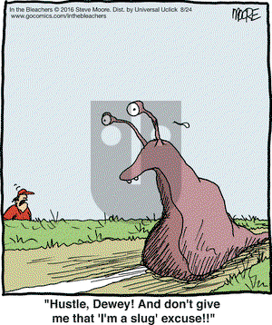 In the Bleachers on Wednesday August 24, 2016 Comic Strip
