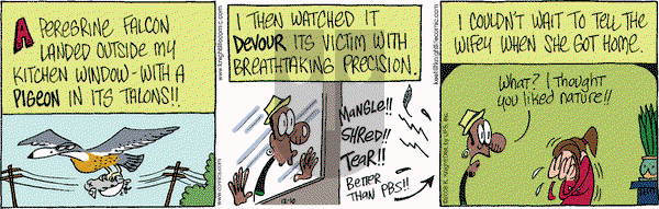 The Knight Life on Wednesday December 10, 2008 Comic Strip