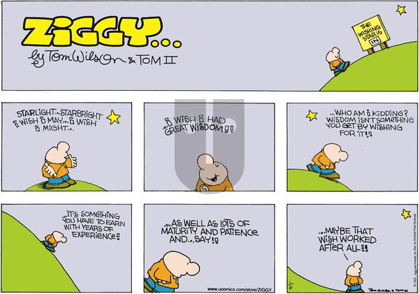 Ziggy on Sunday January 6, 2002 Comic Strip