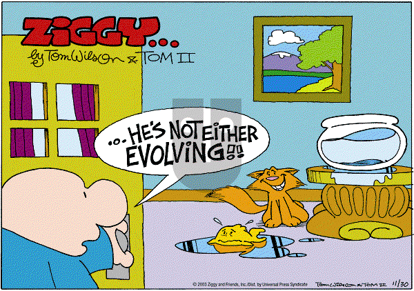 Ziggy - Sunday November 30, 2003 Comic Strip