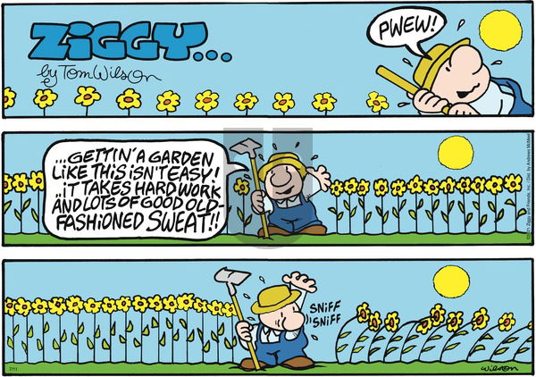 Ziggy on Sunday July 11, 2021 Comic Strip