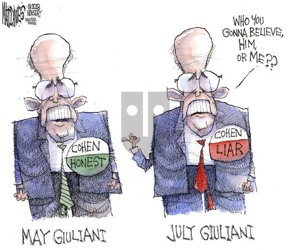 Matt Davies on Sunday July 29, 2018 Comic Strip