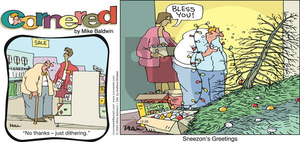 Cornered on Sunday December 20, 2020 Comic Strip