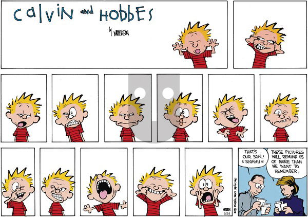 Calvin and Hobbes on Sunday November 11, 1990 Comic Strip