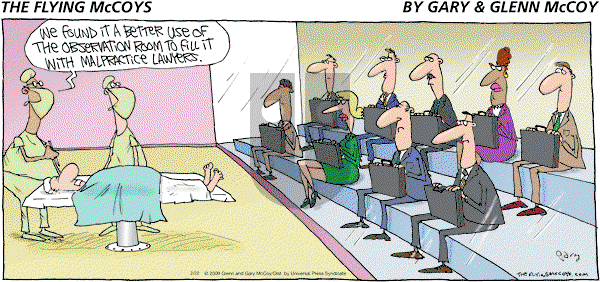 The Flying McCoys on Sunday February 22, 2009 Comic Strip