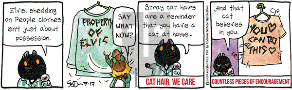 Breaking Cat News on Tuesday July 17, 2018 Comic Strip