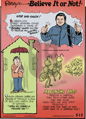 Ripley's Believe It or Not on Friday March 13, 2020 Comic Strip