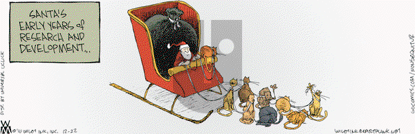 Non Sequitur - Wednesday December 22, 2010 Comic Strip