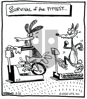 Reality Check on Saturday March 22, 2003 Comic Strip