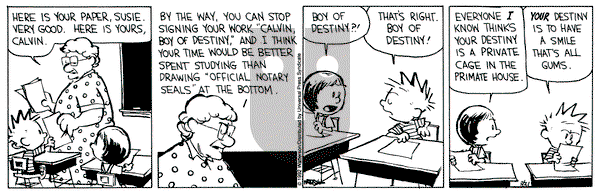 Calvin and Hobbes on Sunday October 17, 1993 Comic Strip