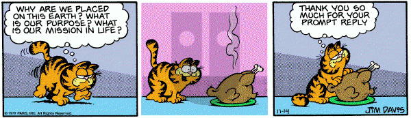 Garfield on Wednesday November 14, 1979 Comic Strip