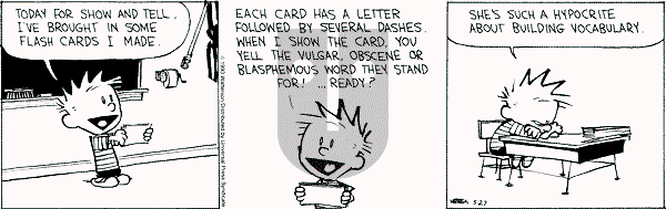 Calvin and Hobbes - Thursday May 27, 1993 Comic Strip