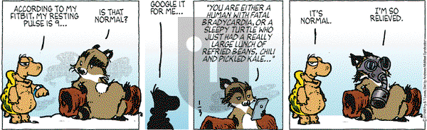 Over the Hedge on Thursday January 3, 2019 Comic Strip