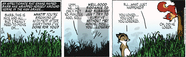 Over the Hedge on Friday May 24, 2019 Comic Strip