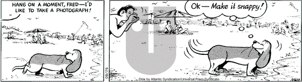 Fred Basset on Tuesday August 26, 2008 Comic Strip