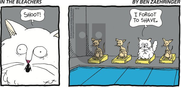 In the Bleachers on Sunday October 12, 2025 Comic Strip