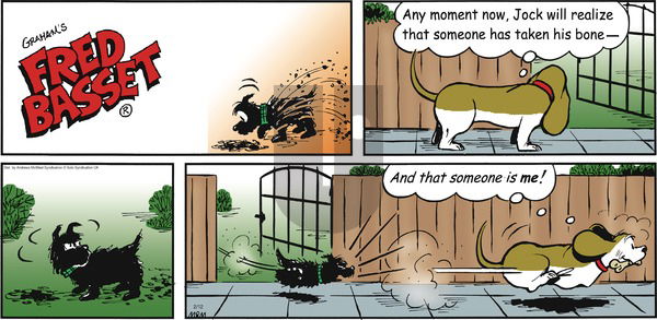 Fred Basset on Sunday February 12, 2017 Comic Strip