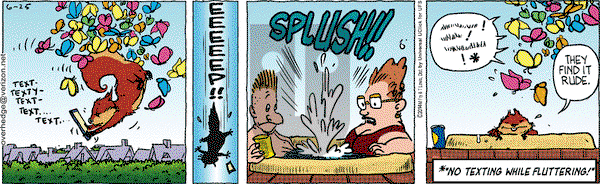 Over the Hedge on Wednesday June 25, 2014 Comic Strip
