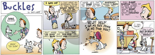 Buckles - Sunday July 3, 2022 Comic Strip