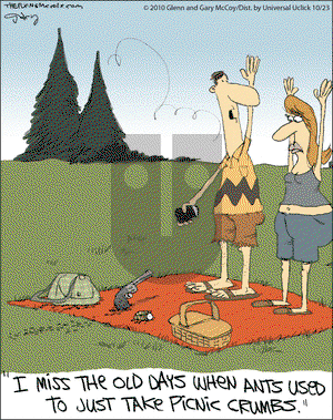 The Flying McCoys - Saturday October 23, 2010 Comic Strip