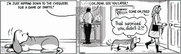 Fred Basset on Tuesday November 18, 2008 Comic Strip