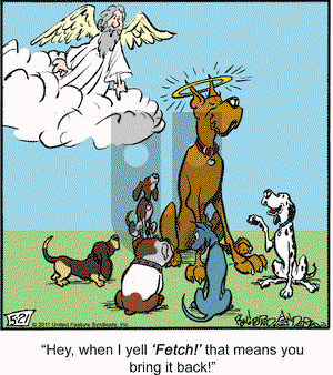 Marmaduke on Saturday May 21, 2011 Comic Strip