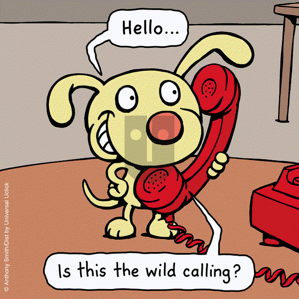 Cattitude — Doggonit - Wednesday March 22, 2023 Comic Strip