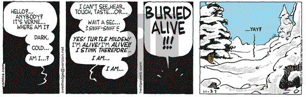 Over the Hedge on Monday November 27, 2006 Comic Strip